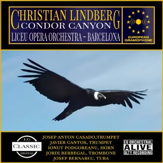 Condor Canyon by Liceu Opera Orchestra