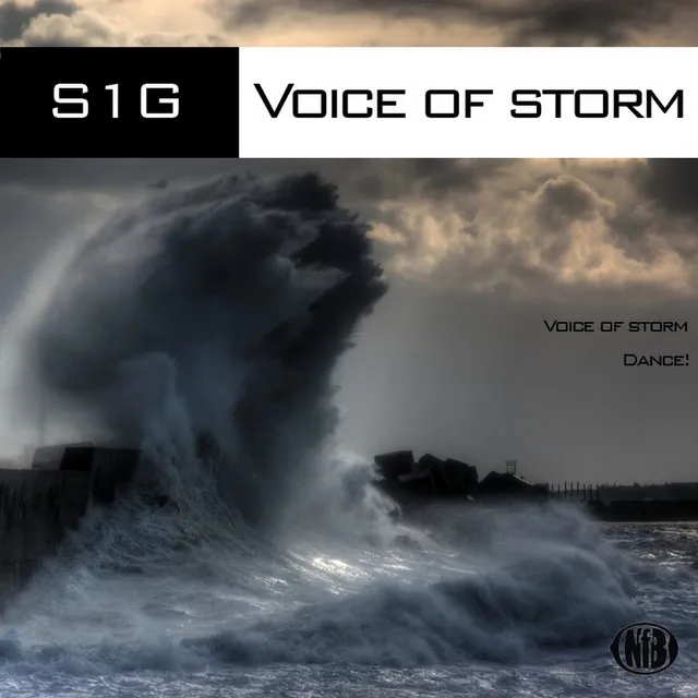 Voice of Storm - Original Mix