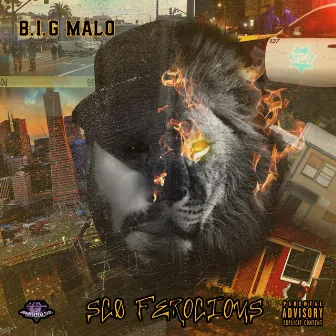 Sco Ferocious by B.I.G. Malo