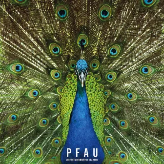 Pfau by Von Seiten der Gemeinde