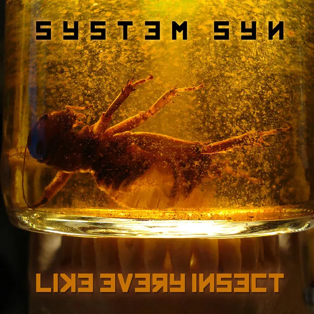 Like Every Insect (The Synthetic Dream Foundation Mix)