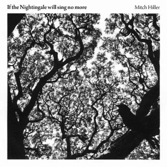 If The Nightingale Will Sing No More by Mitch Hiller