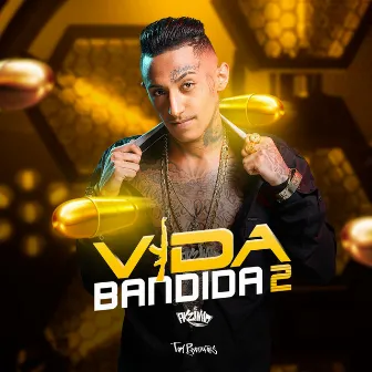 Vida Bandida 2 by MC Pkzinho