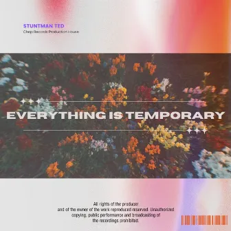 Everything Is Temporary by Stuntman Ted