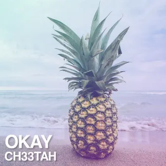 Okay by CH33TAH