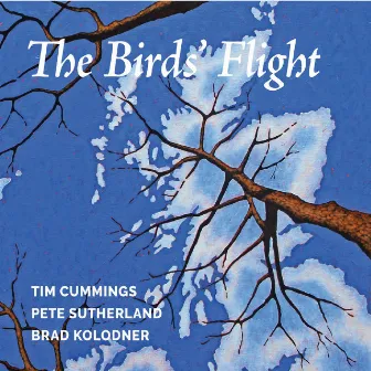 The Birds' Flight by Pete Sutherland