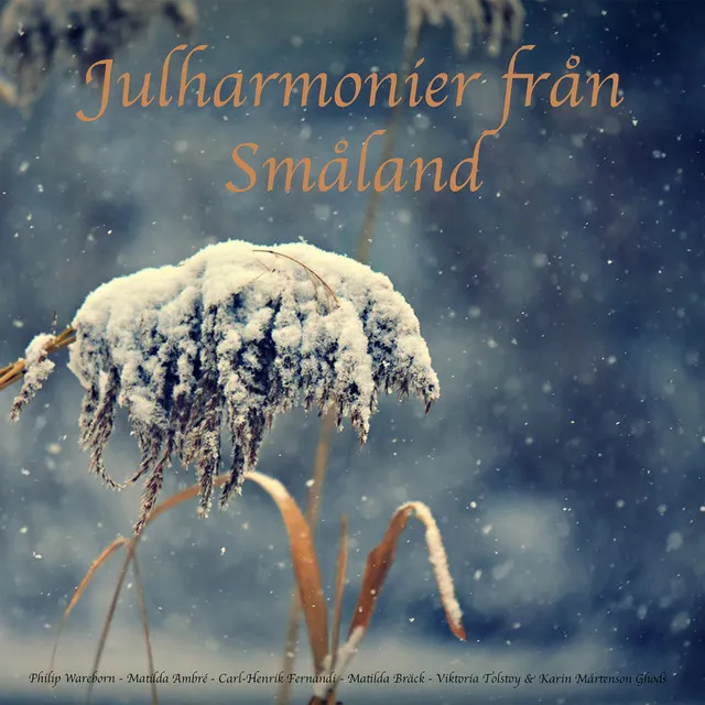 Julpsalm från Småland