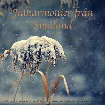 Julharmonier från Småland by Philip Wareborn