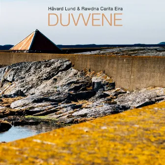 DUVVENE by Havard Lund