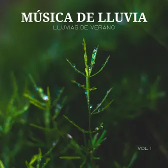 Música De Lluvia: Lluvias De Verano Vol. 1 by 101 Ruido