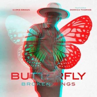 Butterfly Broken Wings by Unknown Artist