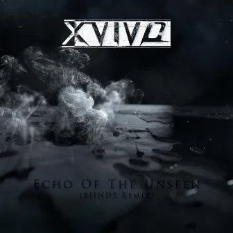 Echo of the Unseen (Biinds Remix) by X-Vivo