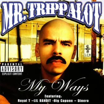 My Ways by Mr. Trippalot