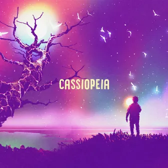 Cassiopeia by Sora