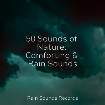 50 Sounds of Nature: Comforting & Rain Sounds by Sons da Natureza