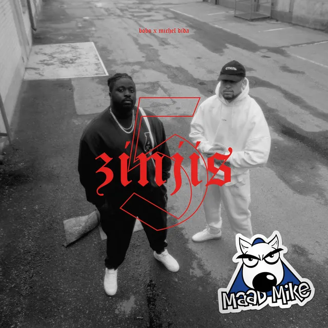 5 zinjis - Remix