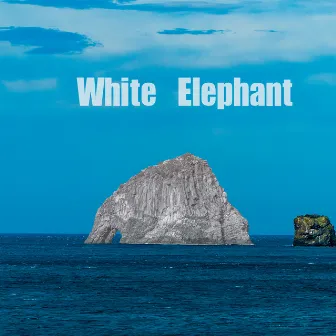 White Elephant by Somebody