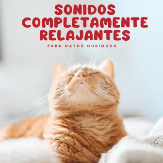 Sonidos Completamente Relajantes Para Gatos Curiosos by Café Jazz Latino