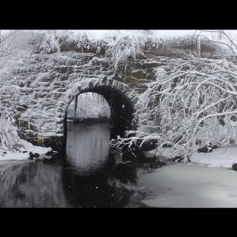 I Took a Walk Through Snowy Wood by David Wolfenberger