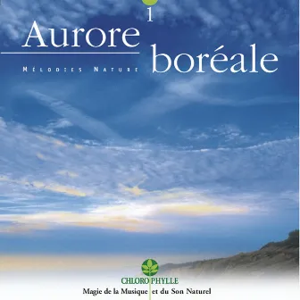 Chlorophylle 1 : Aurore boréale (Mélodies nature) by Relaxing Zen Nature