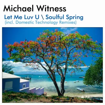 Let Me Love U / Soulful Spring by Michael Witness