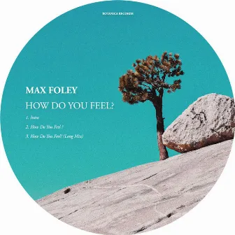 How Do You Feel? by Max Foley