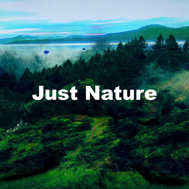 Just Nature