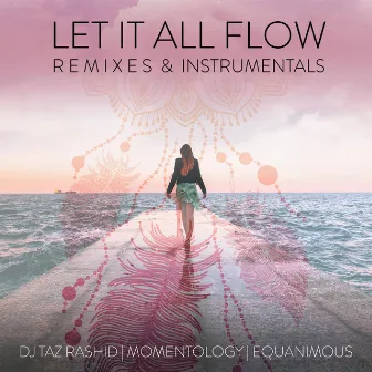 Let It All Flow Remixes and Instrumentals by Momentology