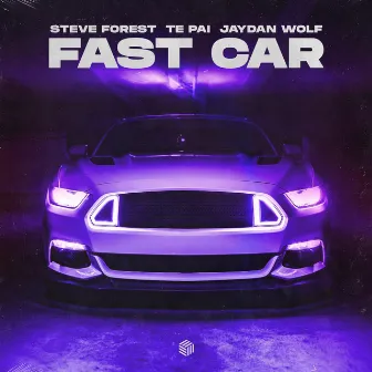 Fast Car by Te Pai