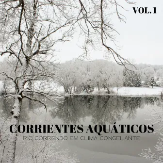 Corrientes Aquáticos: Rio Correndo Em Clima Congelante Vol. 1 by Musica de Piano Clásicos