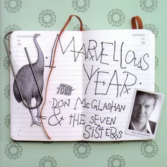 Marvellous Year by Don McGlashan