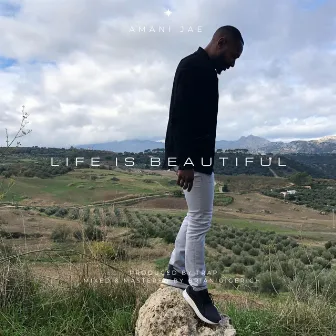 LIFE IS BEAUTIFUL by Amani Jae