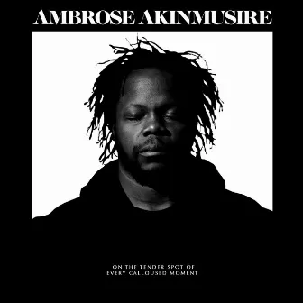 on the tender spot of every calloused moment by Ambrose Akinmusire