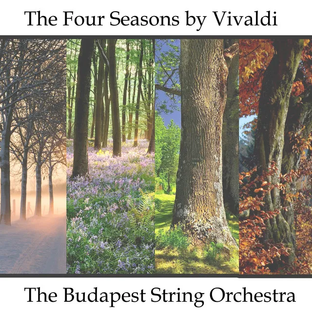 The Four Seasons - A Symphony for Strings