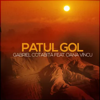 Patul gol (Radio edit) by Vincu Oana