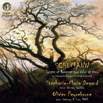 Schumann : Sonates et romances pour violon et piano (sur instruments d'époque) by Olivier Peyrebrune