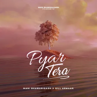 Pyar Tera by Mani Bhawanigarh