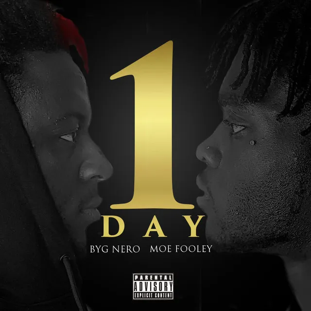 IN 1 DAY