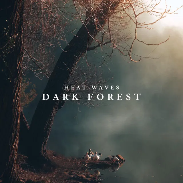 Dark Forest