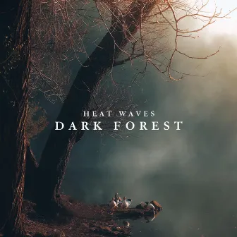 Dark Forest by Heat Waves