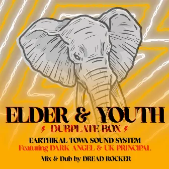 Elder & Youth Dubplate Box by Earthikal Towa Sound System