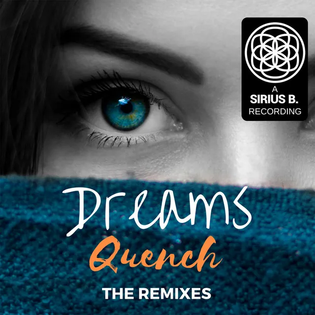 Dreams (Moda Finale Vocal Remix)