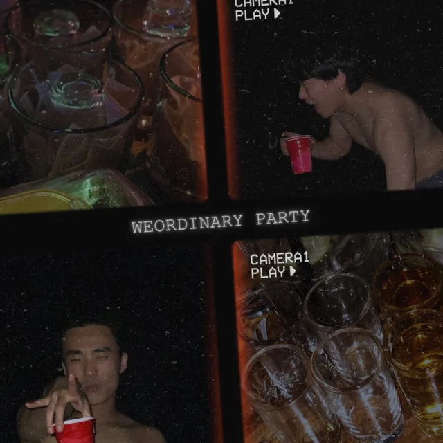 Weordinary Party