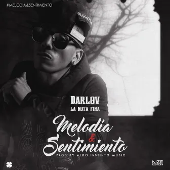 Melodia y Sentimiento by Darlov Nota Fina