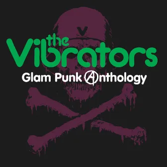 Glam Punk Anthology by The Vibrators