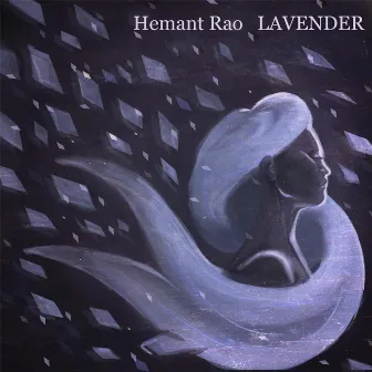 Lavender by Hemant Rao