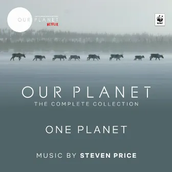 One Planet (Episode 1 / Soundtrack From The Netflix Original Series 