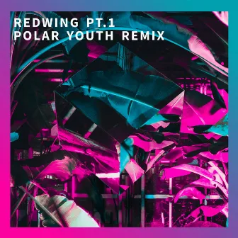 Redwing, Pt. 1 (Polar Youth Remix) by Unknown Artist