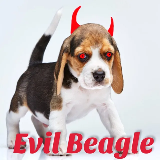 Evil Beagle