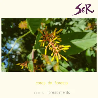 Cores da Floresta: Florescimento by Grupo Ser